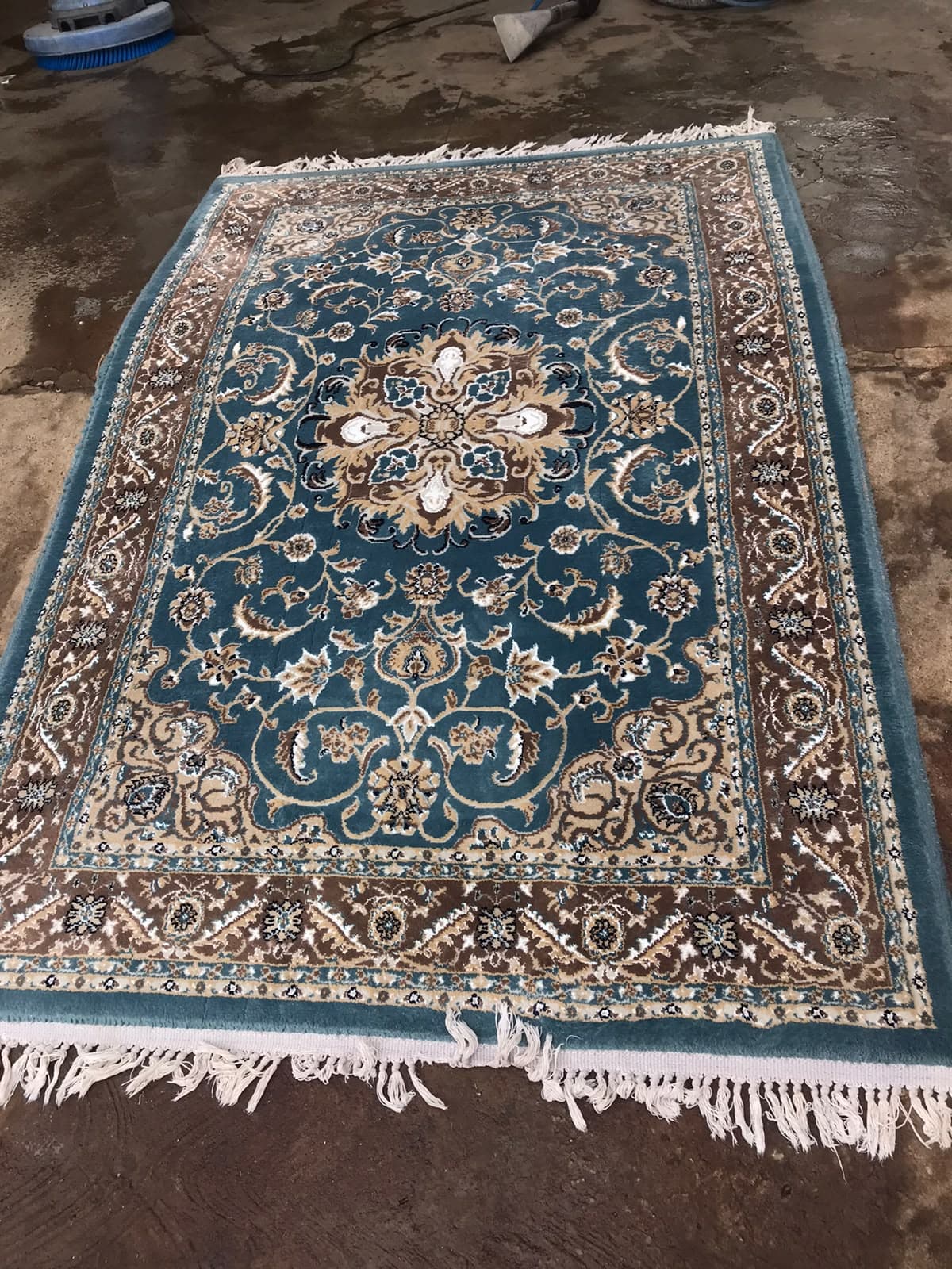 Blue patterned rug on a wet work floor, with a rotary cleaning machine and extraction head behind it.